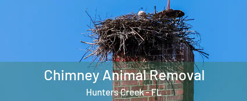  Chimney Animal Removal Hunters Creek - FL