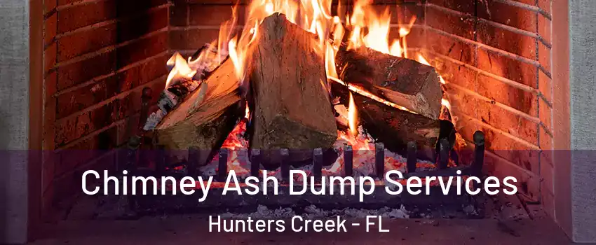  Chimney Ash Dump Services Hunters Creek - FL