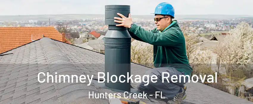  Chimney Blockage Removal Hunters Creek - FL