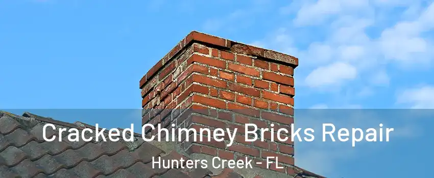  Cracked Chimney Bricks Repair Hunters Creek - FL