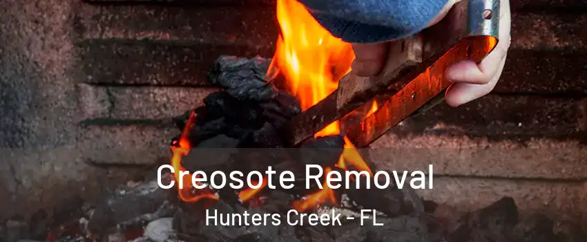  Creosote Removal Hunters Creek - FL