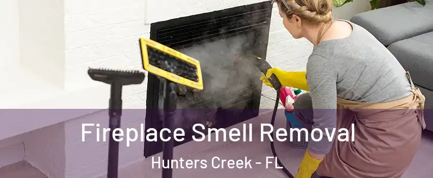 Fireplace Smell Removal Hunters Creek - FL