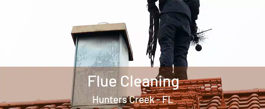  Flue Cleaning Hunters Creek - FL