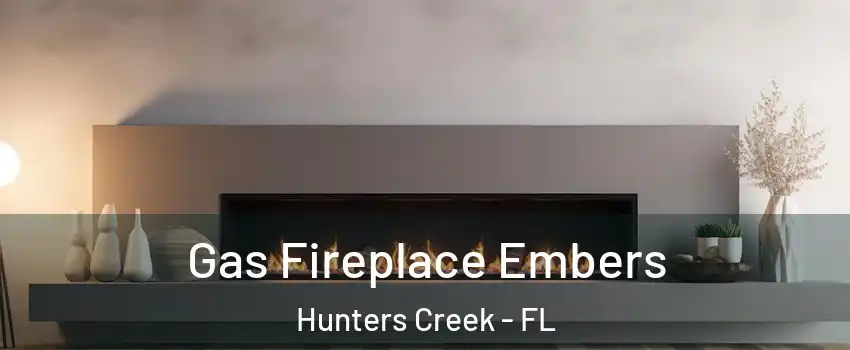  Gas Fireplace Embers Hunters Creek - FL