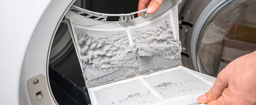 Best Dryer Lint Removal Company in Hunters Creek, Florida