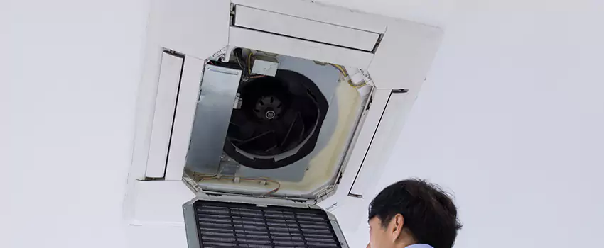 Benefits of Professional Air Duct Cleaning in Hunters Creek, Florida
