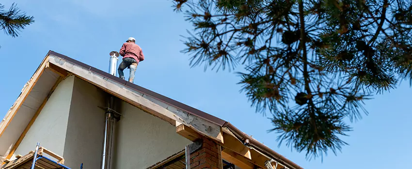 Birds Removal Contractors from Chimney in Hunters Creek, FL