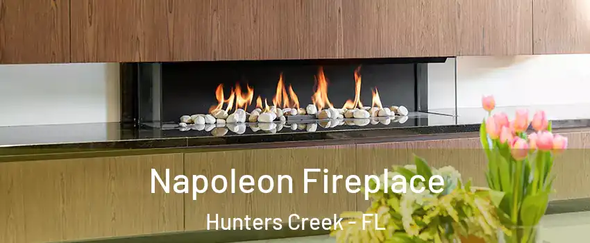 Napoleon Fireplace Hunters Creek - FL